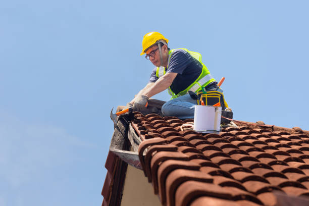 Fast & Reliable Emergency Roof Repairs in Kurtistown, HI